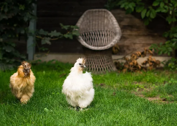 Vendégház Agata Žehrov